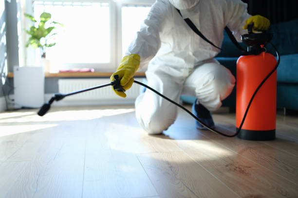Reliable Odor Removal contractor in Florence, OR by Trauma Clean Pros